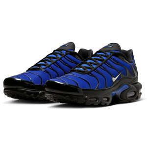 ナイキ エア マックス プラス プレミアム NIKE AIR MAX PLUS PRM ブ