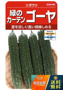サカタのタネ 実咲野菜0932 緑のカーテンゴーヤ 00920932