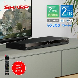 2024年新型モデル 2B-C20GW1 シャープ アクオス ブルーレイ // SHARP
