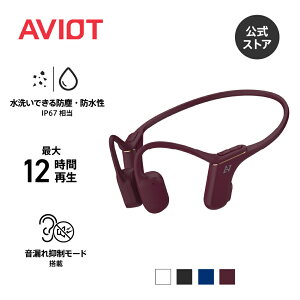 AVIOT WB-P1 ワイヤレスイヤホン 骨伝導 ランニング イヤホン こつでんどう 耳