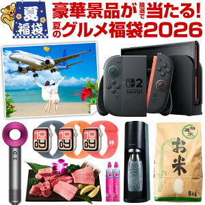 バルミューダ ザ ランタン LEDライト 充電式 間接照明 調光 LEDランタン テント