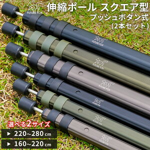 FUTURE FOX 伸縮ポール 2本セット キャンプ タープポール テントポール アルミ