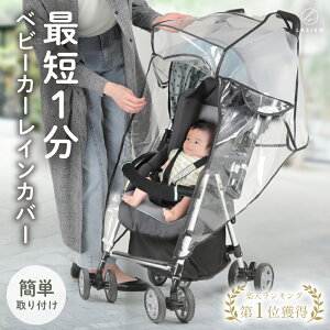 Joie(ジョイー) チャイルドシート ステディR129(シェール)