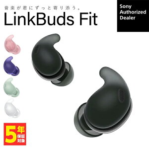SONY LinkBuds Fit WF-LS910N ソニー ノイズキャンセリング 完全