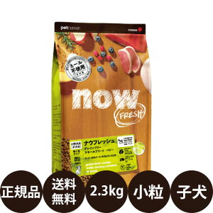 [ 正規品 ] ナウフレッシュ グレインフリー スモールブリードパピー 2.3kg [ グ