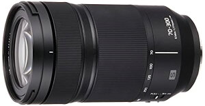 パナソニック(Panasonic) 望遠ズームレンズ フルサイズミラーレス一眼 Lマウント