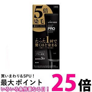 マンダム LUCIDO(ルシード) カラーリンスPRO パーフェクトブラック カラーリンス