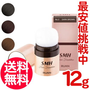ルアン スーパーミリオンヘアー SMH ヘアファンデーション 12g ヘアカバー ヘアファ
