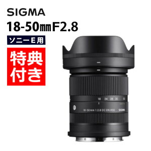 バッグ付！SIGMA シグマ 18-50mm F2.8 DC DN（C） ソニーEマウント