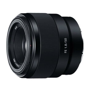 ソニー FE 50mm F2.8 Macro [SEL50M28] ソニーFEマウント ミ
