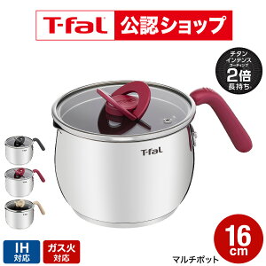 ティファール T-fal オプティスペース IHステンレス マルチポット 16cm G74