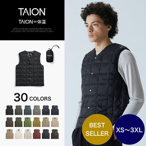 TAION (タイオン) ベーシック Vネックボタン インナーダウンベスト メンズ (TA