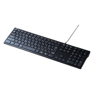 サンワサプライ USBスリムキーボード ブラック SKB-SL33BK [SKBSL33B