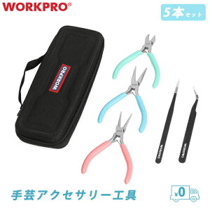 WORKPRO ペンチ 5本組 手芸ペンチ 手作り キット 初心者向け DIY工具 平やっ