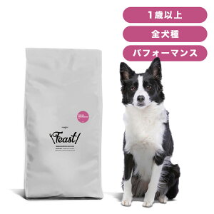 INUMESHI フィースト プレミアム パフォーマンス 1歳以上 活発犬用 15kg