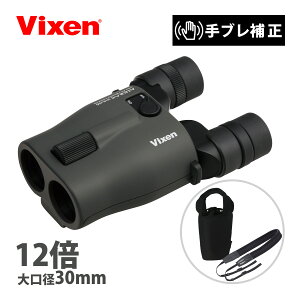 双眼鏡 防振双眼鏡 ビクセン 12倍 ATERA II H12x30 チャコール